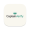 CaptainVerify